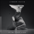 Andrew Bayer - In My Last Life