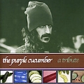 Purple Cucumber (Tribute To Frank Zappa)