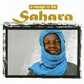 A Voyage To The Sahara