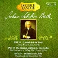 Die Bach Kantate Vol.18 / Arleen Auger(S), Wolfgang Schone(Bs-Br), Helmuth Rilling(cond), Gachinger Kantorei Stuttgart, Stuttgart Bach Collegium, etc