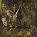 IX Equilibrium