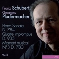 Schubert: Piano Sonats Vol.3 - Piano Sonata No.14, Quatre Impromptus D.935, Moment Musical No.3