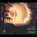 J.S.BACH:MASS IN B MINOR:JUNGHANEL/CANTUS COLLN/ETC