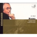 Bach: Motets / Herreweghe, La Chapelle Royale Paris, et al