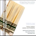 Tehilim - Psalms Between Judaism and Christianity