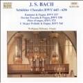 Bach: Schuebler Chorales / Wolfgang Ruebsam