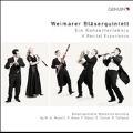 A Recital Experience - Works by W.A.Mozart, P.Haas, F.Danzi, etc