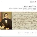 Schubert: Wandererfantasie D.760, Moments Musicaux D.780, Piano Sonata No.19
