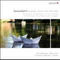 Donaufahrt - Voyage Down the Danube