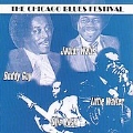The Chicago Blues Festival