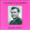 Lebendige Vergangenheit - Joachim Sattler