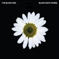 Black Daisy Wheel