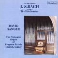 Bach: Organ Music Vol 4 / David Sanger