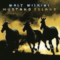 Mustang Island