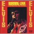 Burning Love & Hits From His Movies Vol. II