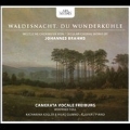Waldesnacht, du Wunderkuhle - Secular Choral Works by Brahms