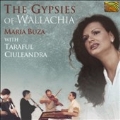 Gypsies Of Wallachia, The