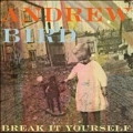 Break It Yourself : Deluxe Edition [CD+DVD]