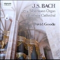 J.S.Bach - 1714 Silbermann Organ of Freiberg Cathedral