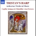 Tristan's Harp - Arthurian Medieval Music