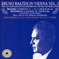 Bruno Walter in Vienna Vol 1 - Brahms, Beethoven / Vienna PO
