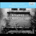 Alexander Knaifel: The Canterville Ghost