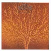 Still Life Still Life