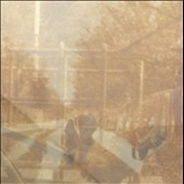 Folding in on Itself Folding in on Itself