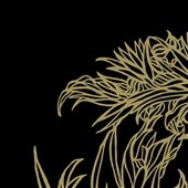 An Alliance of Hearts 