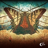 The Heart of a Dark Star