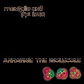 TOWER RECORDS ONLINE㤨Mentallo & The Fixer/Arrange The Molecule[AMCD1251]פβǤʤ2,490ߤˤʤޤ