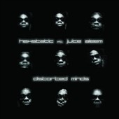 DISTORTED MINDS / PERFECT BIRD 