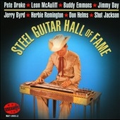 Steel Guitar Hall of Fame[NVLE30032]