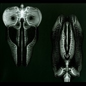 Dances in Dreams of the Known Unknown Dances in Dreams of the Known Unknown