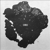 What One Becomes What One Becomes