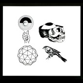 With Light & With Love