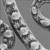 God Don't Talk to Strangers/Lady of the Ocean