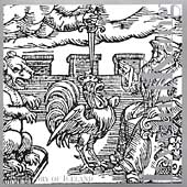 Eyvind Kang: The Story Of Iceland