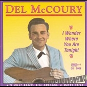 I Wonder Where You Are Tonight