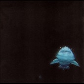 In The Red In The Red