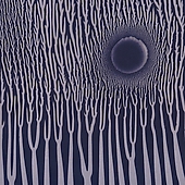 The Grimm Robe Demos The Grimm Robe Demos