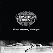 Black Shining Leather