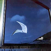 Essere O Non Essere Essere O Non Essere