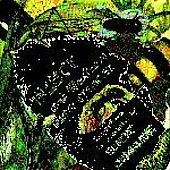 Insect And Western Insect Attracter