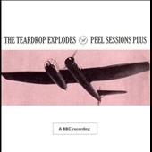 Peel Sessions Plus (Intl Ver.)