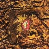 Worst Case Scenario Worst Case Scenario