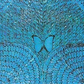 Borboletta Borboletta