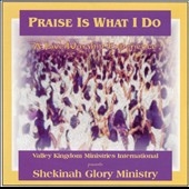 Praise Is What I Do: A Live Worship Experience Praise Is What I Do: A Live Worship Experience