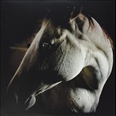 How to Kill a Horse How to Kill a Horse