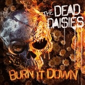 Burn It Down (Picture Vinyl)＜限定盤＞